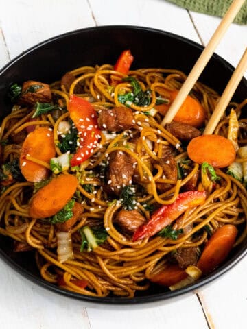 instant pot pork lo mein