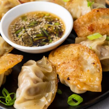 pan fried pork dumplings