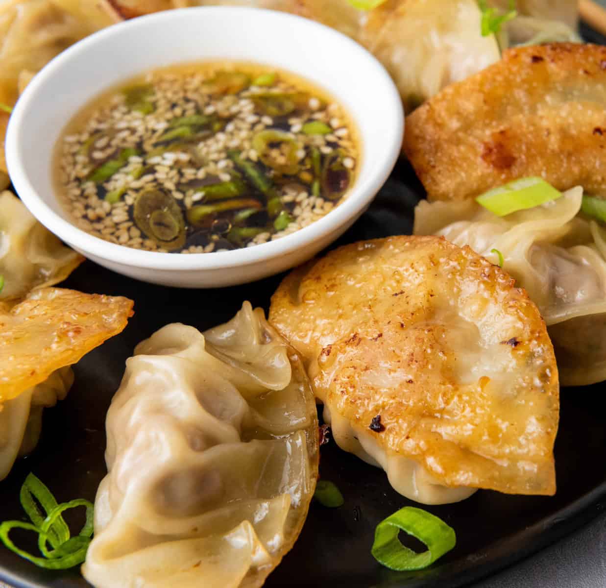 pan fried pork dumplings