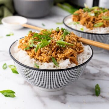 soy honey garlic chicken